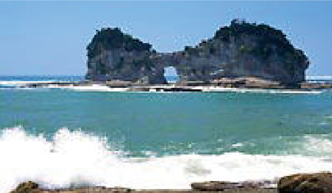 白浜町・谷脇さん